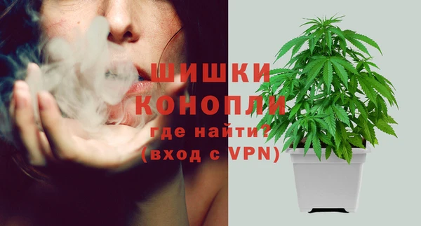 дживик Лагань