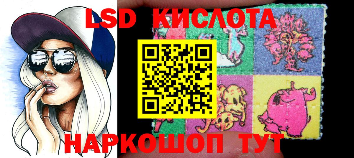 A PVP Мелеуз