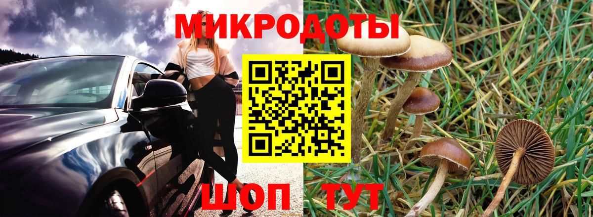 Мелеуз  Псилоцибиновые грибы GOLDEN TEACHER  Галлюциногенные грибы ЛСД  Вход с VPN 