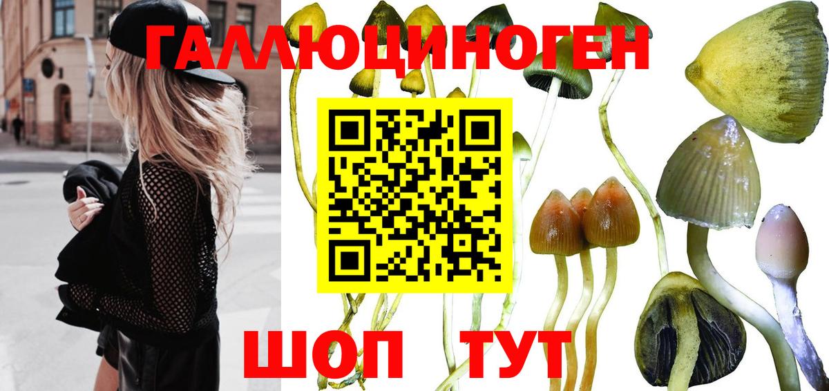 Галлюциногенные грибы ЛСД Мелеуз